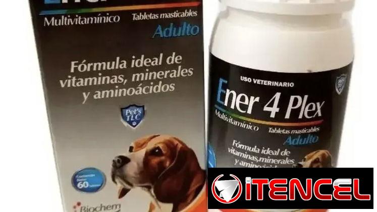 Complejo vitamínico para perros/ Multivitaminas para perros