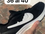 Tenis