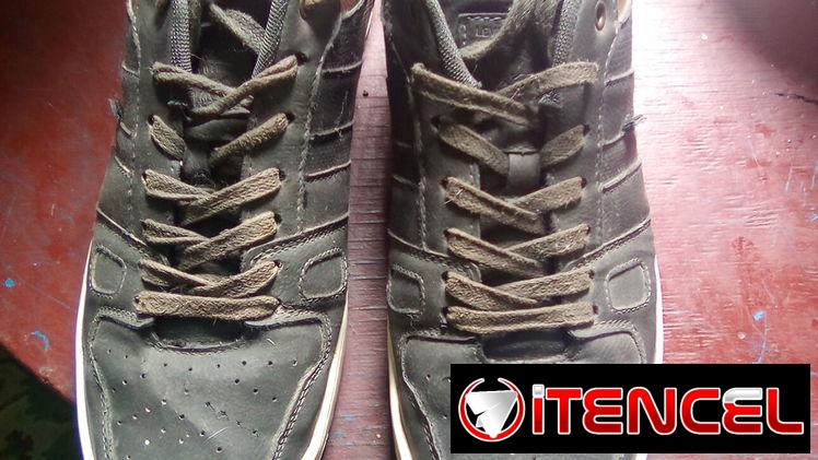 Tenis