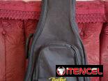 Guitarra electrica Esp Ltd