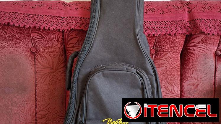Guitarra electrica Esp Ltd