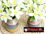Flores y Arecas artificiales… Pregunte
