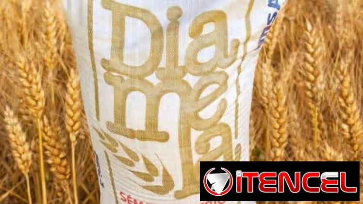 HARINA AMARILLA O SÉMOLA DE TRIGO POR LIBRA… MARIANAO!!!
