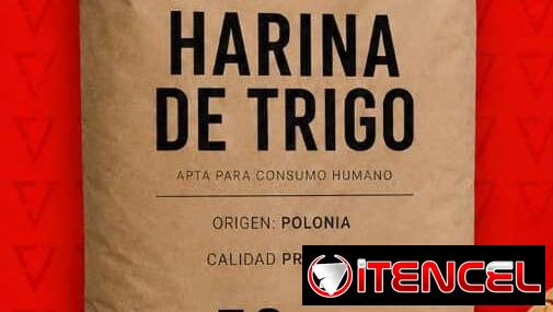 Harina de trigo de 50 kg 500 sacos por contenedor  58 USD x saco Venta completa x contenedor