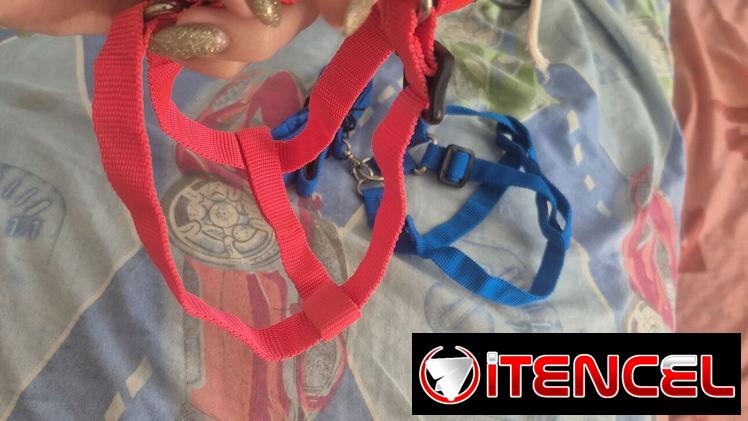 Collares para perros medianos-pekeño