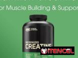 CREATINA MONOHIDRATADA OPTIMUM NUTRITION 120 SERVICIOS