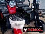 Triciclo de paseo