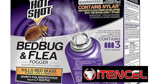 Fumigación contra chinches