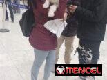 AGENCIA DE VIAJES DE MASCOTA