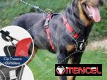 Pecheras de Perro con correa incluida