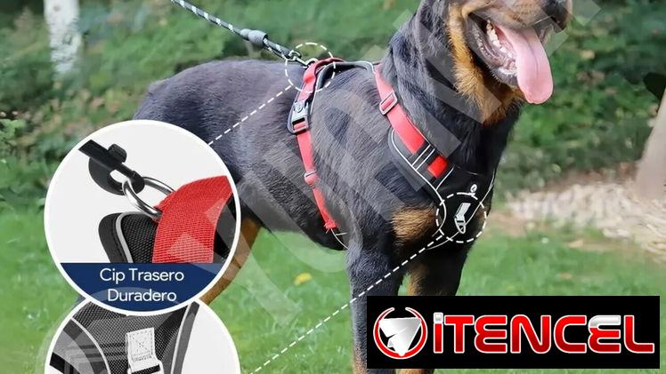 Pecheras de Perro con correa incluida