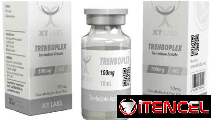 Testosterona