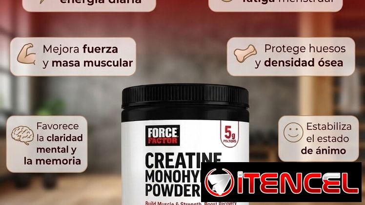 Creatina 100 servcios