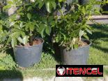 Servicios de Jardinería y Artículos!!