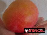 🚨🚨5 x $100 Deliciosos mangos 😋