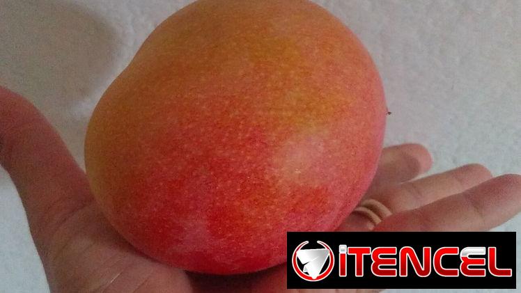 🚨🚨5 x $100 Deliciosos mangos 😋