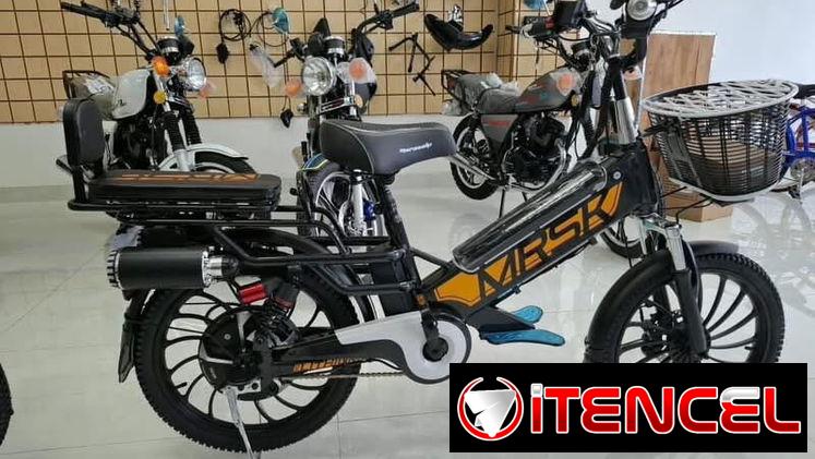 BICICLETA ELÉCTRICA MURASAKI