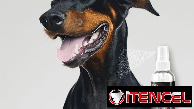 Colonia para perro macho