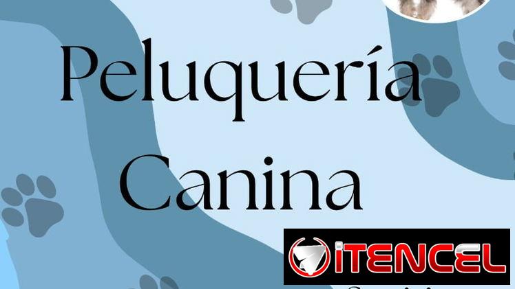 Estilista canino en alamar Habana del este