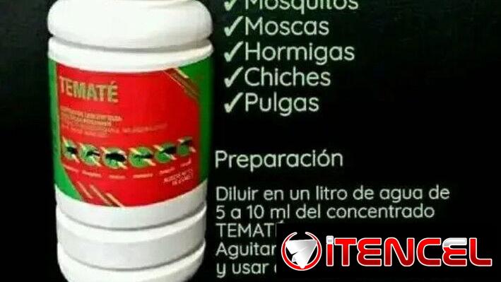 Veneno de chinche,mosquitos ,pulgas,cucarachas,hormigas,ciempiés .