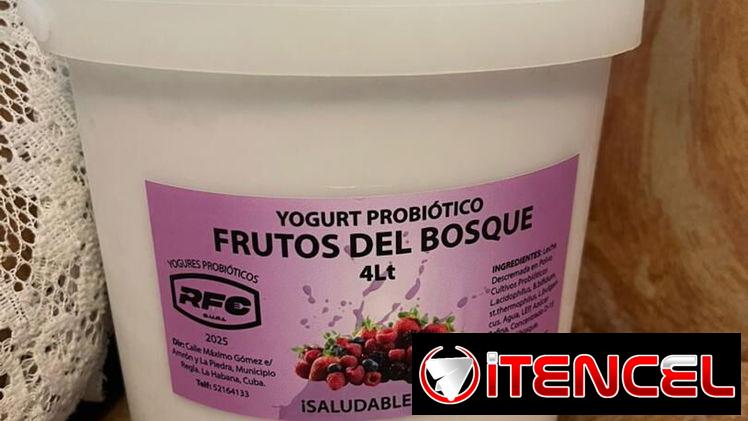 Yogurt Probiótico