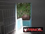 Se rentan 2 apartamentos en línea y B , vedado