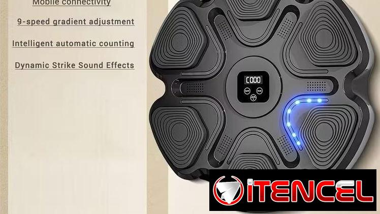 Máquina de Boxeo Musical para Pared con Luces y Bluetooth