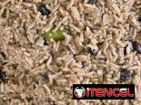 Comidas criollas a domicilio
