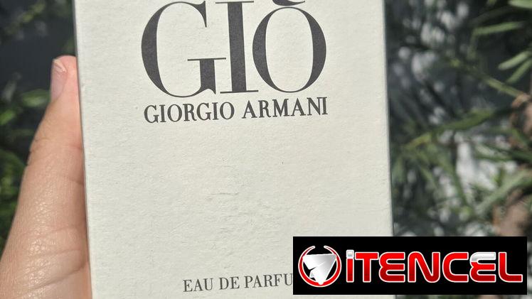 Perfume Acqua De Giò Giorgio Armani