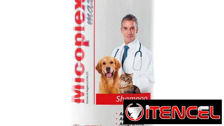 Shampoo para perros Ketoconazol Clorhexidina