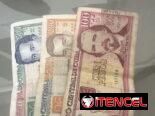 Primera Oportunidad Remota Te Capacitamos Gratis
