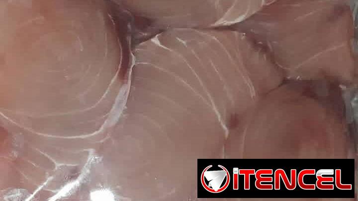 Venta de pescado y mariscos Habana