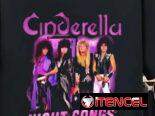 Camisetas de rock ( bandas, logos , portadas de discos)