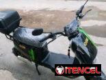 Motorina