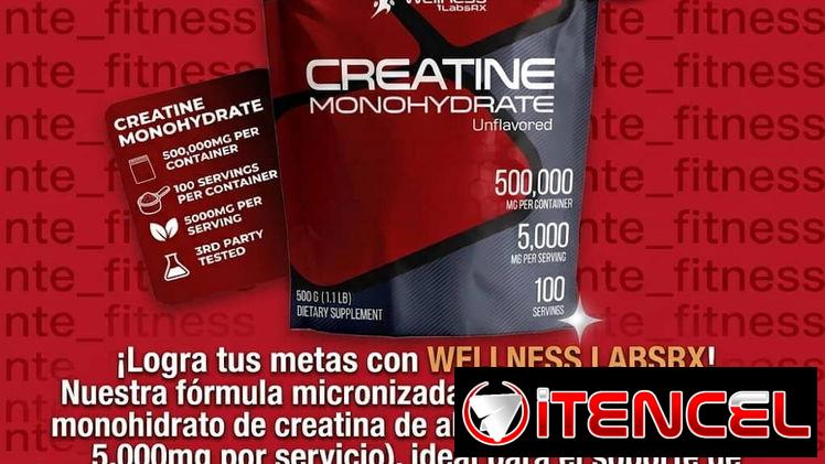 Creatina Sports Research 60s