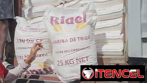 Harina Ridel: Venta por Contenedor
