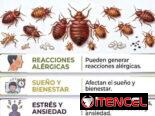 Servicio de Fumigación contra Chincha en La Habana