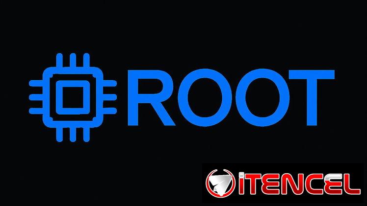 🎨 ROOT – Limpieza Profesional de Tarjetas Gráficas 🎨    🧹 Eliminación de polvo y residuos con productos especializado