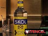 Ginebra Skol (1L)