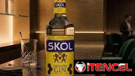 Ginebra Skol (1L)