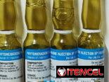 Ácido Tranexamico, Vitamina k (Fitomenadiona)