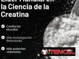✔️creatina MuscleTech Platinum 80 servicios