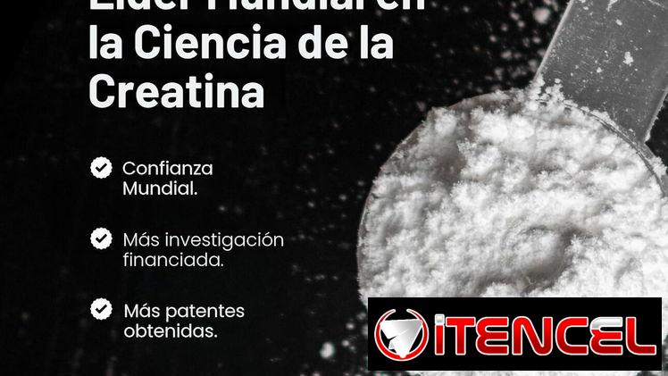 ✔️creatina en polvo MuscleTech Platinum