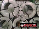 Bobina de Acero Galvanizado (0,6x901mm) $3500 Bobina de Acero Galvanizado (1,2x210mm) $3300
