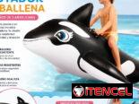 Flotador de ballena (EyH)