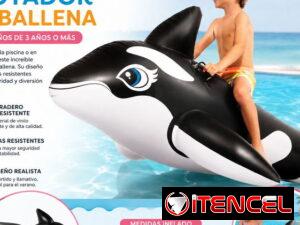 8b6b4bf786a54f3114cd2ca6fe7ad339bf17c20824771f3a22cdfa9c01f5ca7b