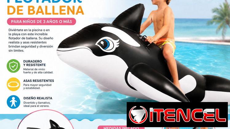 Flotador de ballena (EyH)