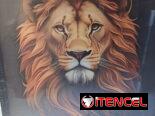 Cuadro pintura en aerosol 5900cup Medidas 50*60cm