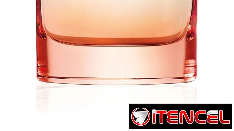 Perfume Michael Kors Wonderlust de mujer, 100 ml, original en caja.