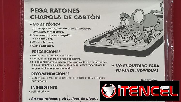 Pega Raton